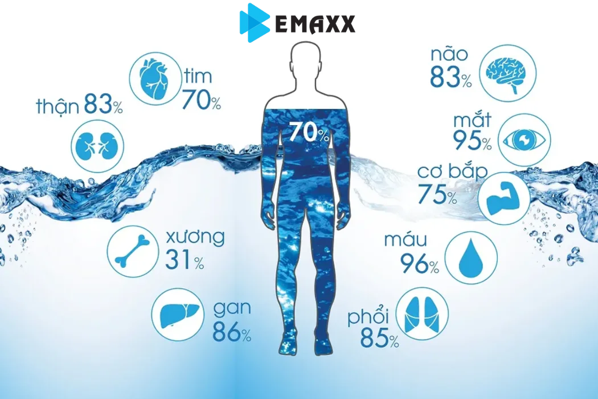 Uống nhiều nước có tốt không? Một ngày uống bao nhiêu là đủ?